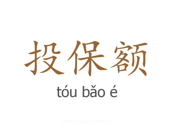 投保额