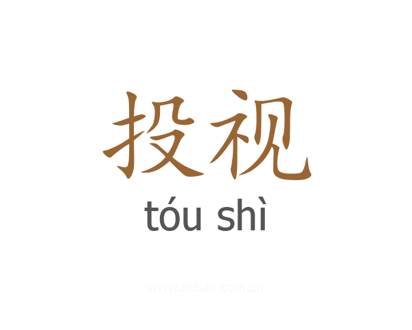 投视