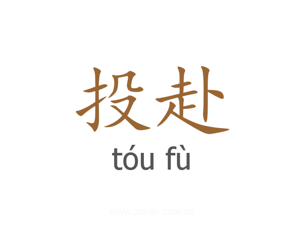 投赴