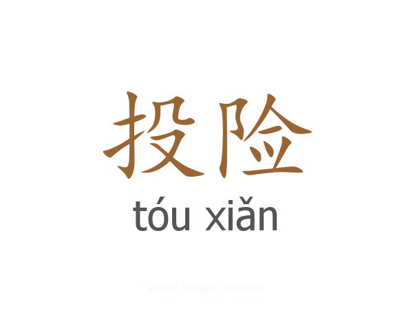 投险