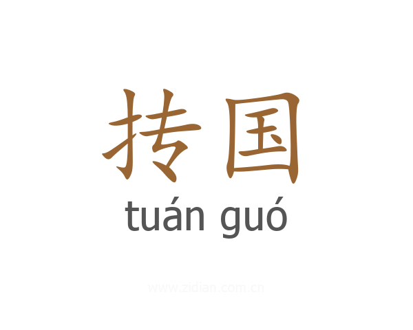 抟国