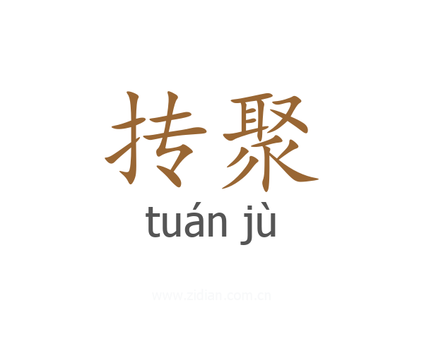 抟聚