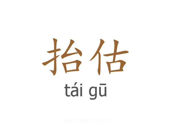 抬估