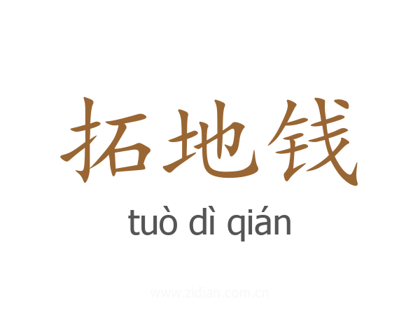 拓地钱