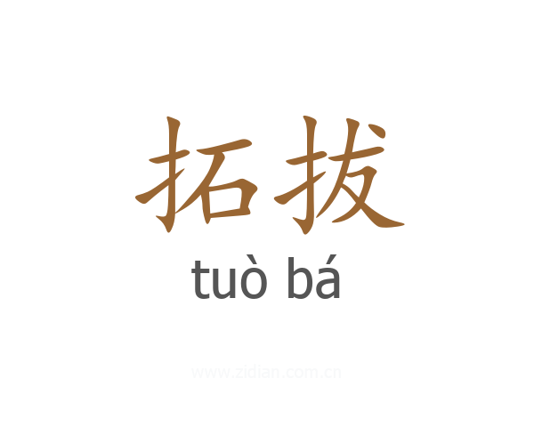 拓拔