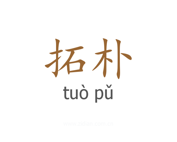 拓朴