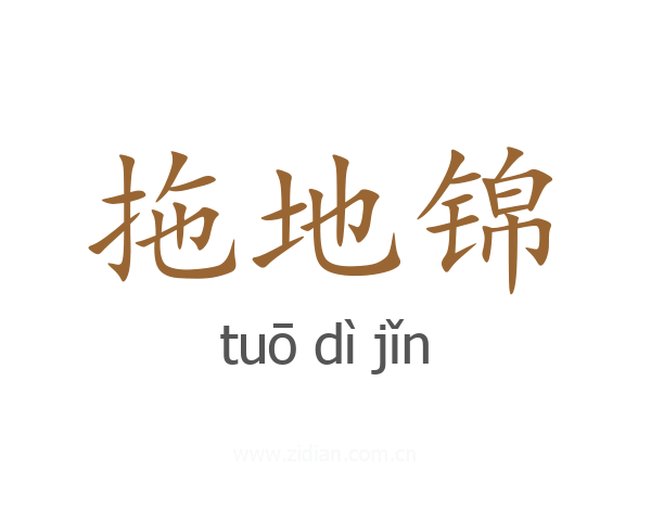 拖地锦