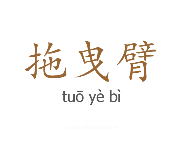 拖曳臂