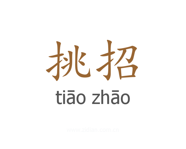 挑招