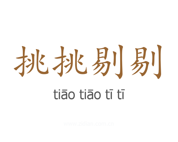 挑挑剔剔