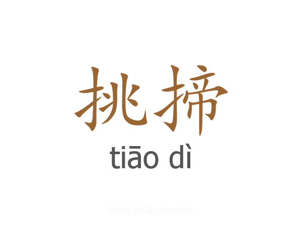 挑揥