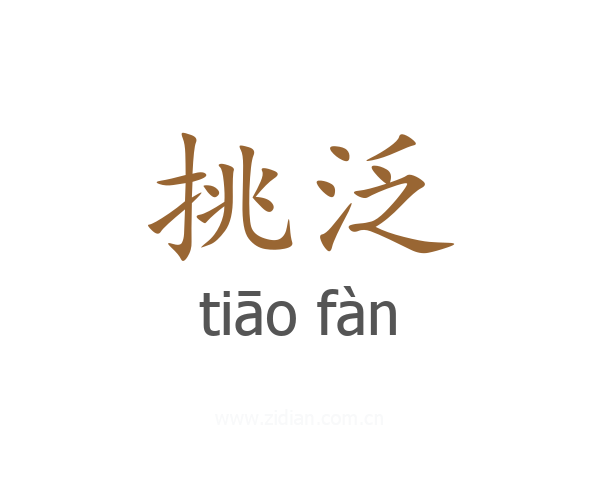 挑泛