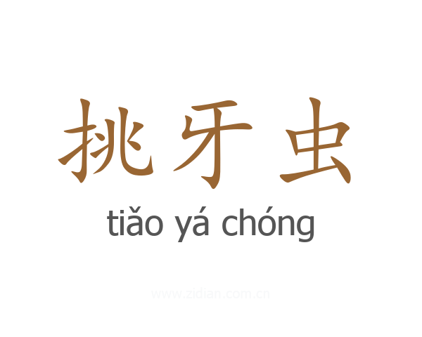 挑牙虫