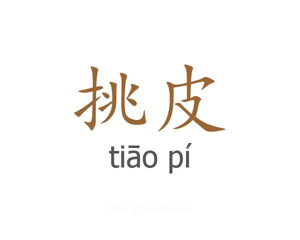 挑皮