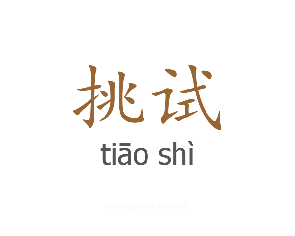 挑试