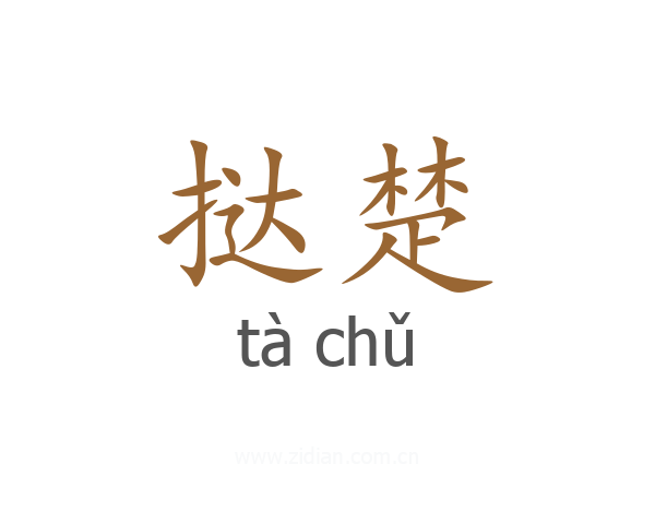 挞楚