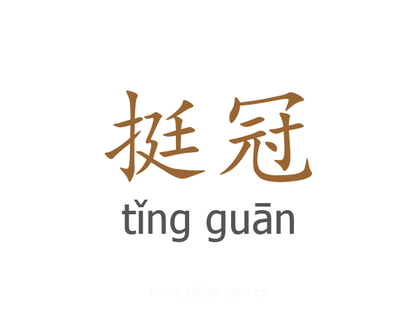 挺冠