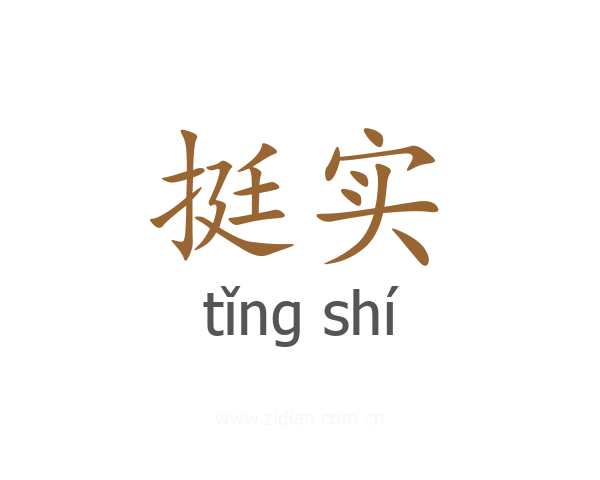 挺实