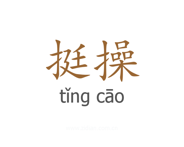 挺操