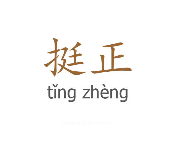 挺正