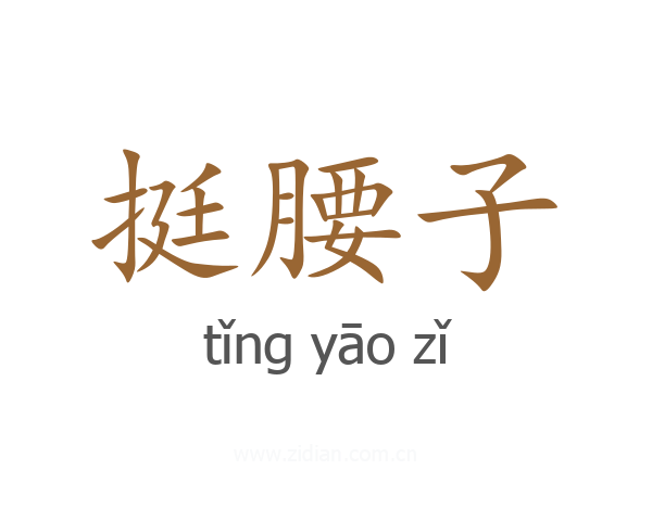 挺腰子