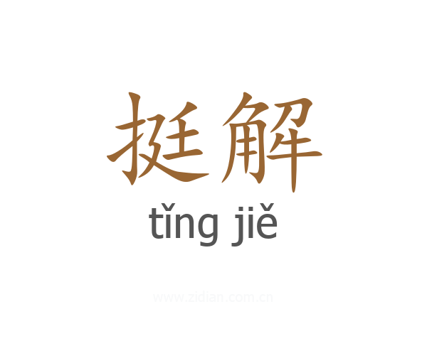 挺解