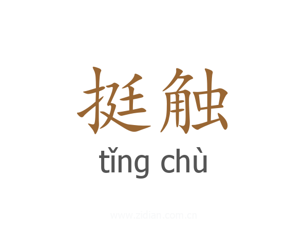 挺触
