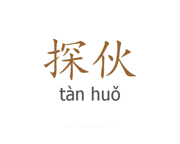 探伙