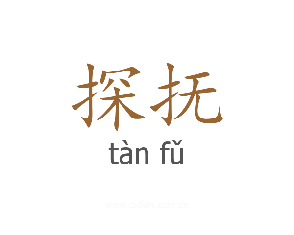 探抚