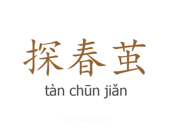 探春茧