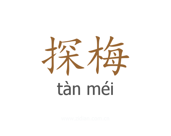探梅