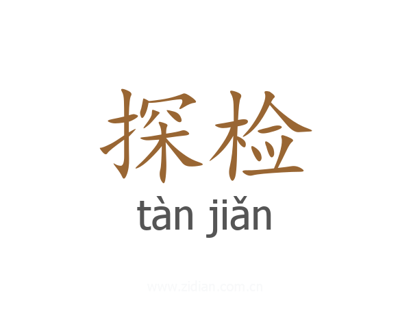 探检