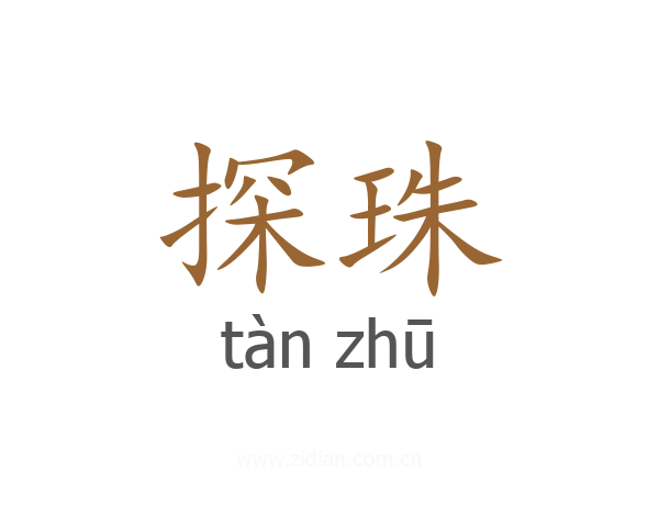 探珠