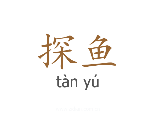 探鱼