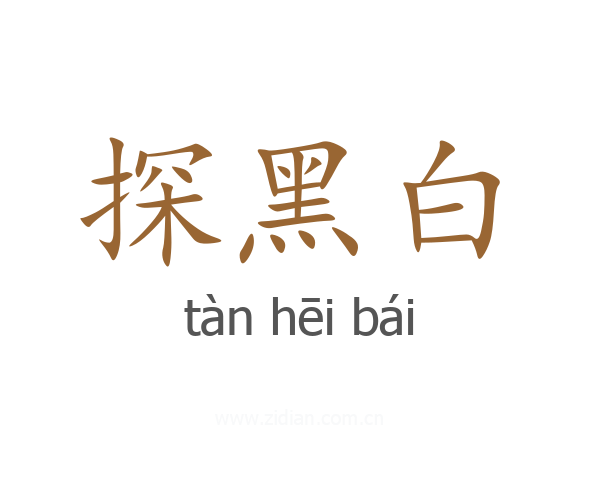 探黑白