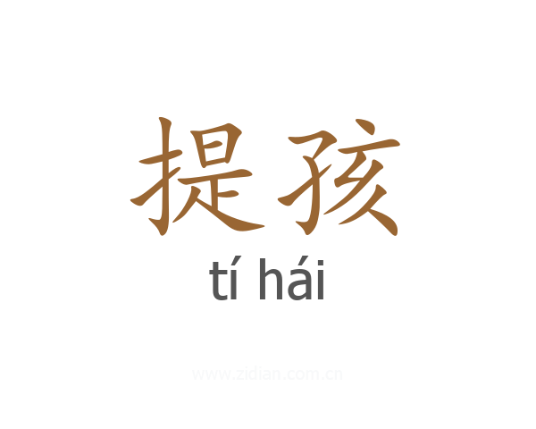提孩