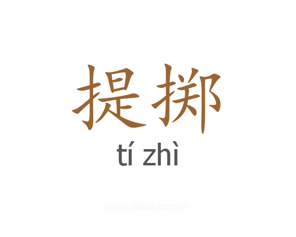 提掷