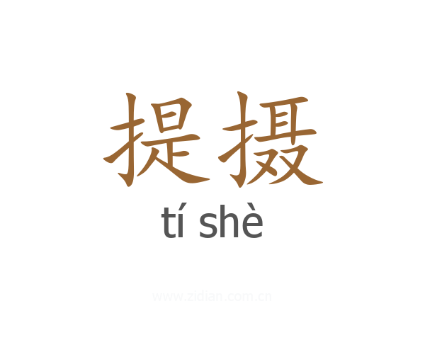 提摄