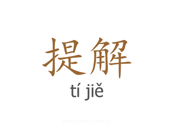 提解