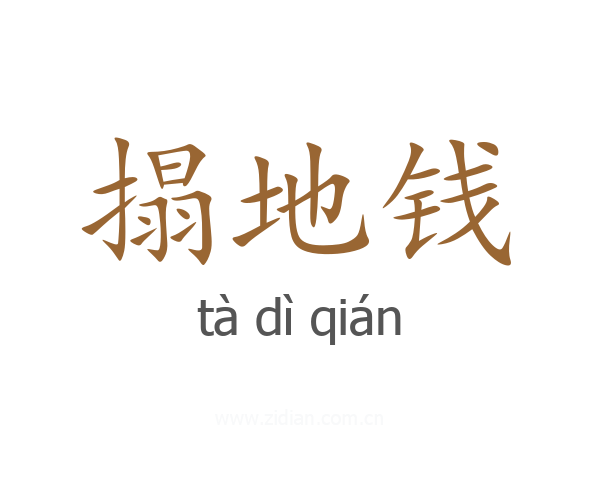 搨地钱