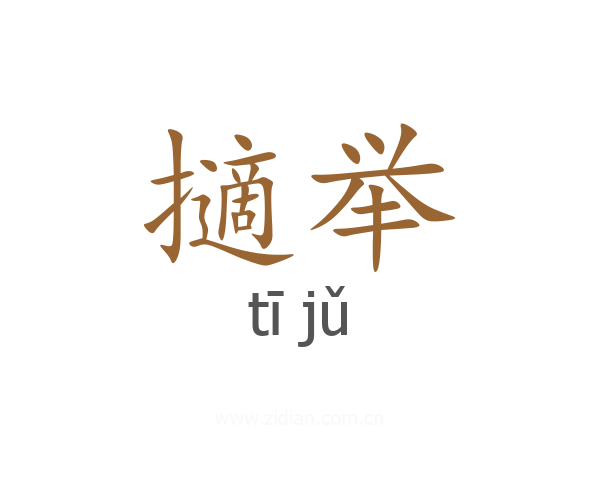 擿举
