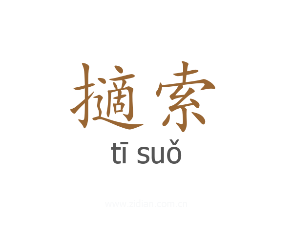 擿索