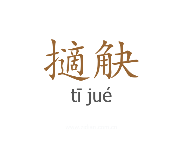 擿觖