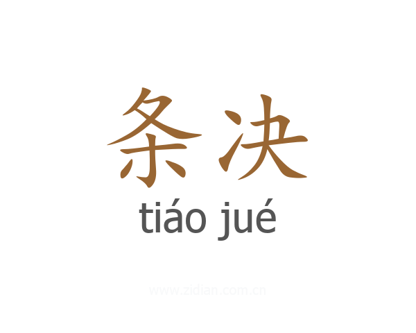 条决