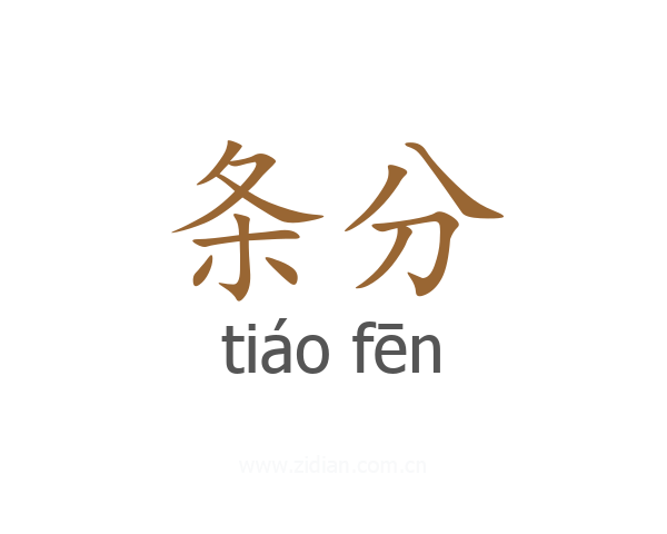 条分
