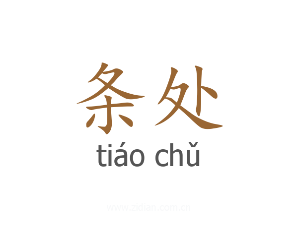 条处