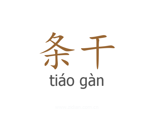 条干