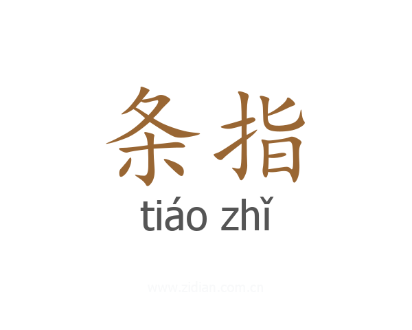 条指