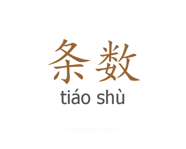 条数