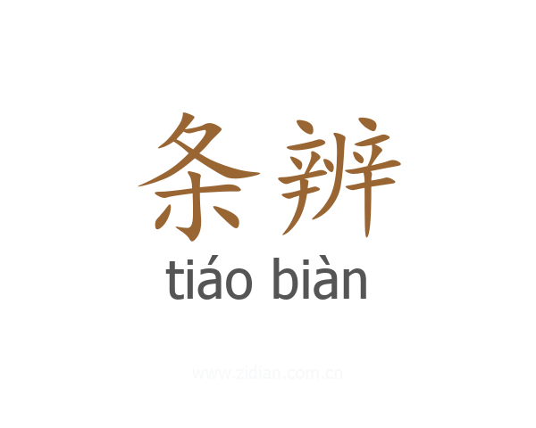 条辨